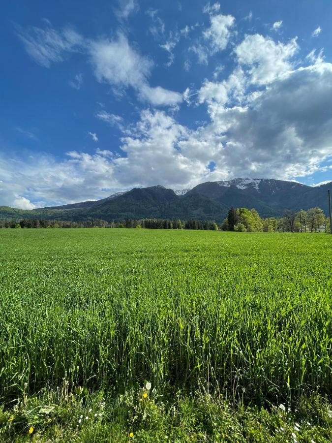 Ferienwohnung Igerc Feistritz ob Bleiburg Exterior foto