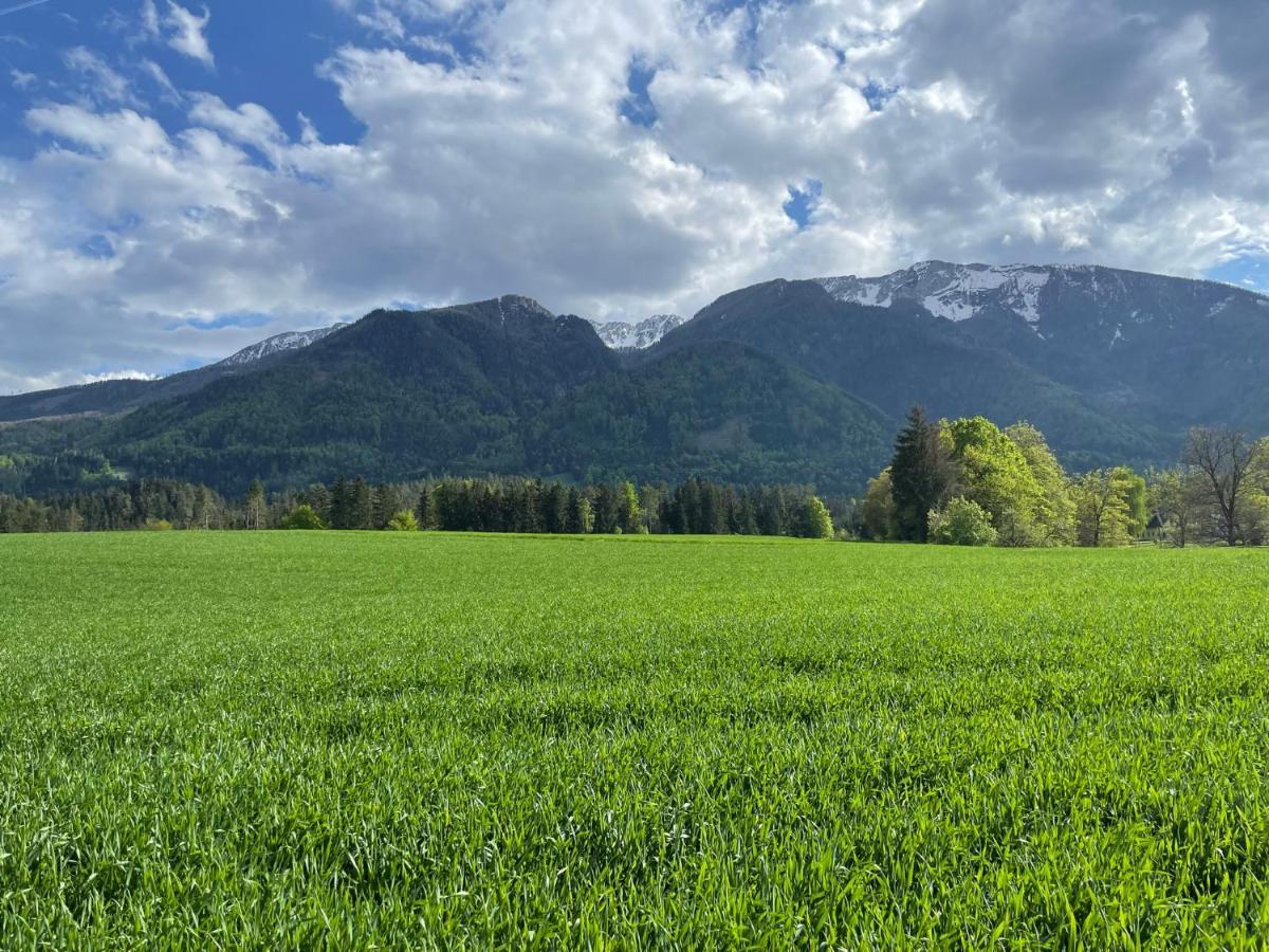 Ferienwohnung Igerc Feistritz ob Bleiburg Exterior foto